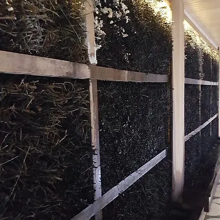 Apartment Prywatny 327 W Diune Kolobrzeg