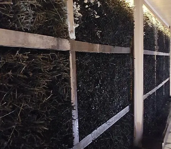 Apartment Prywatny 327 W Diune Kolobrzeg